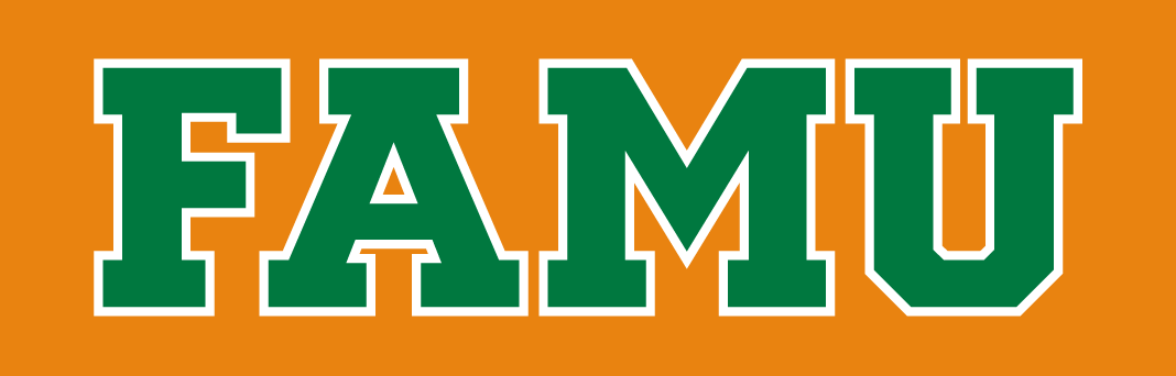 Florida A&M Rattlers 2013-pres wordmark logo v3 diy DTF decal sticker